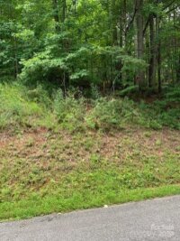 Mckenzie Way, Old Fort, NC 28762, MLS # 4120766 - Photo #6