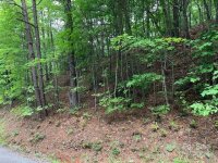 Mckenzie Way, Old Fort, NC 28762, MLS # 4120786 - Photo #4