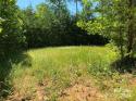 15159 Hwy 226 South, Union Mills, NC 28167, MLS # 4121162 - Photo #2