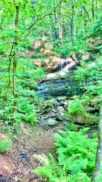 1175 Waterfall Lane, Lenoir, NC 28645, MLS # 4122000 - Photo #40