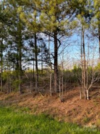 Mallard Drive, Grover, NC 28073, MLS # 4122218 - Photo #5