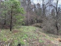 Rimesdale Way # 20, Waynesville, NC 28785, MLS # 4124172 - Photo #5