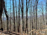 Red Wolf Run # 15, Mars Hill, NC 28754, MLS # 4124769 - Photo #1