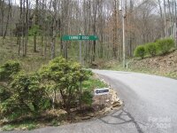 Chimney Ridge Trail # 114A, Waynesville, NC 28786, MLS # 4126859 - Photo #13