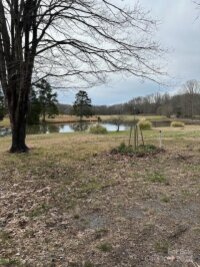 8805 Wingard Road, Waxhaw, NC 28173, MLS # 4127673 - Photo #5