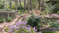36 Griffing Circle, Asheville, NC 28804, MLS # 4128231 - Photo #8