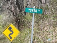 775 Yonah Trail, Waynesville, NC 28785, MLS # 4130368 - Photo #2