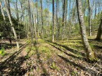 Cawood Lane, Clyde, NC 28721, MLS # 4132127 - Photo #3