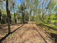 Cawood Lane, Clyde, NC 28721, MLS # 4132127 - Photo #11