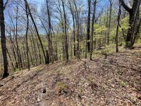 Signature Row Road, Waynesville, NC 28785, MLS # 4132804 - Photo #2