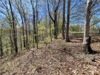 Signature Row Road, Waynesville, NC 28785, MLS # 4132804 - Photo #3