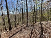 Signature Row Road, Waynesville, NC 28785, MLS # 4132804 - Photo #4