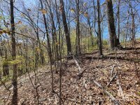 Signature Row Road, Waynesville, NC 28785, MLS # 4132804 - Photo #5