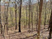 Signature Row Road, Waynesville, NC 28785, MLS # 4132804 - Photo #6