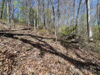 Signature Row Road, Waynesville, NC 28785, MLS # 4132804 - Photo #10