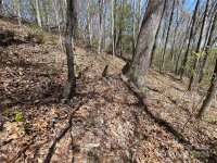 Signature Row Road, Waynesville, NC 28785, MLS # 4132804 - Photo #13