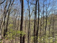 Signature Row Road, Waynesville, NC 28785, MLS # 4132804 - Photo #16