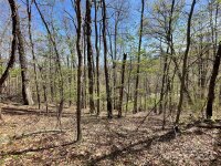 Signature Row Road, Waynesville, NC 28785, MLS # 4132804 - Photo #18