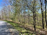 Signature Row Road, Waynesville, NC 28785, MLS # 4132804 - Photo #20