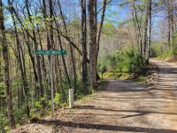 Gallant Moose Trail # 6, Waynesville, NC 28785, MLS # 4133182 - Photo #2