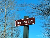 204 Tom Fazio Trace, Hendersonville, NC 28739, MLS # 4133393 - Photo #8