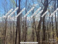 Skyline Drive, Waynesville, NC 28786, MLS # 4133739 - Photo #4