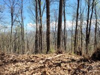 Skyline Drive, Waynesville, NC 28786, MLS # 4133739 - Photo #6