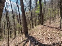 Skyline Drive, Waynesville, NC 28786, MLS # 4133739 - Photo #7