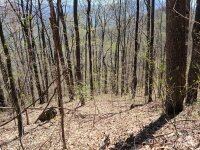 Skyline Drive, Waynesville, NC 28786, MLS # 4133739 - Photo #8