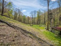 3545 Black Camp Gap Road, Maggie Valley, NC 28751, MLS # 4136439 - Photo #44