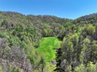2180 Pigeon Roost Road, Green Mountain, NC 28740, MLS # 4137054 - Photo #3