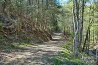 2180 Pigeon Roost Road, Green Mountain, NC 28740, MLS # 4137054 - Photo #29