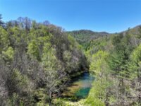 2180 Pigeon Roost Road, Green Mountain, NC 28740, MLS # 4137054 - Photo #4