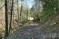 2180 Pigeon Roost Road, Green Mountain, NC 28740, MLS # 4137054 - Photo #30