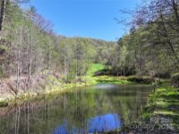 2180 Pigeon Roost Road, Green Mountain, NC 28740, MLS # 4137054 - Photo #5
