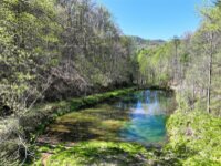 2180 Pigeon Roost Road, Green Mountain, NC 28740, MLS # 4137054 - Photo #6