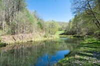 2180 Pigeon Roost Road, Green Mountain, NC 28740, MLS # 4137054 - Photo #33