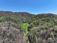 2180 Pigeon Roost Road, Green Mountain, NC 28740, MLS # 4137054 - Photo #34