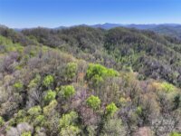 2180 Pigeon Roost Road, Green Mountain, NC 28740, MLS # 4137054 - Photo #36