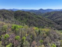 2180 Pigeon Roost Road, Green Mountain, NC 28740, MLS # 4137054 - Photo #37