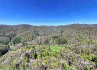 2180 Pigeon Roost Road, Green Mountain, NC 28740, MLS # 4137054 - Photo #38