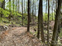 2180 Pigeon Roost Road, Green Mountain, NC 28740, MLS # 4137054 - Photo #39