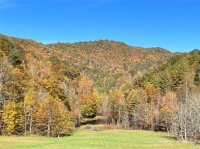 2180 Pigeon Roost Road, Green Mountain, NC 28740, MLS # 4137054 - Photo #44