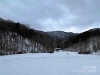 2180 Pigeon Roost Road, Green Mountain, NC 28740, MLS # 4137054 - Photo #45