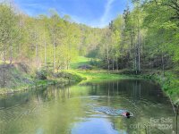2180 Pigeon Roost Road, Green Mountain, NC 28740, MLS # 4137054 - Photo #47