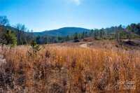 99999 226 Highway, Nebo, NC 28761, MLS # 4137374 - Photo #3