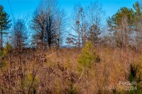 99999 226 Highway, Nebo, NC 28761, MLS # 4137374 - Photo #34