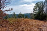 99999 226 Highway, Nebo, NC 28761, MLS # 4137374 - Photo #35