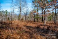 99999 226 Highway, Nebo, NC 28761, MLS # 4137374 - Photo #37