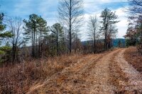 99999 226 Highway, Nebo, NC 28761, MLS # 4137374 - Photo #41